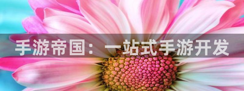 28加拿大大神下载：手游帝国：一站式手游开发