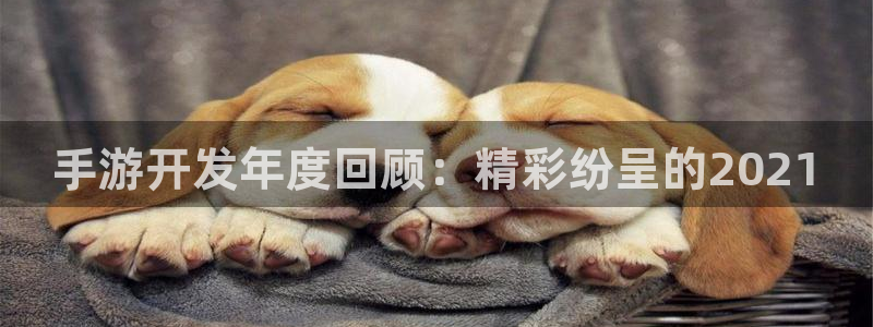 28大神开奖记录：手游开发年度回顾：精彩纷呈的2021