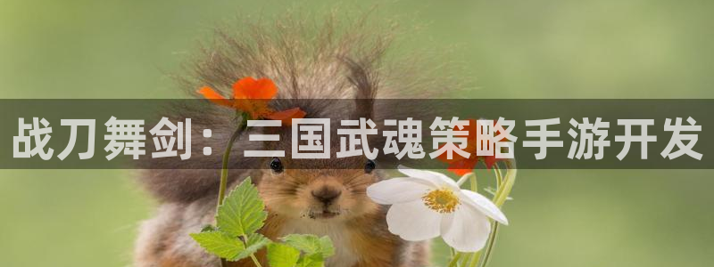 火狐电竞开奖查询：战刀舞剑：三国武魂策略手游开发