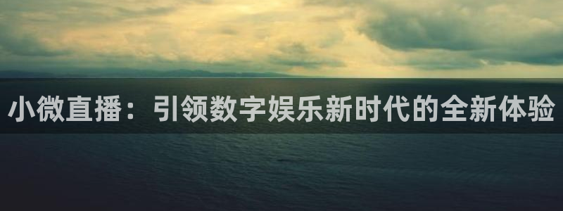 斗球app下载官网：小微直播：引领数字娱乐新时代的全新体验