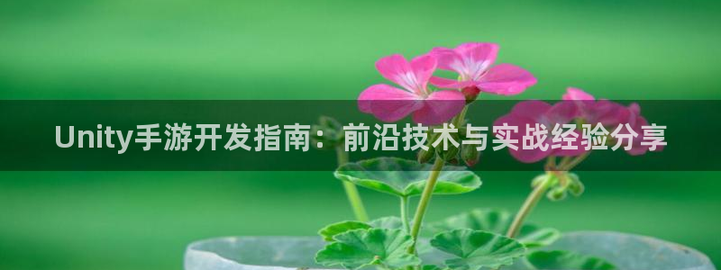 28大神2020：Unity手游开发指南：前沿技术与实战经验