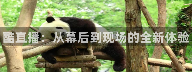 斗球体育app下载官网：酷直播：从幕后到现场的全新体验