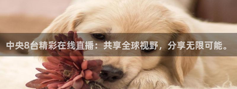 斗球app免费观看：中央8台精彩在线直播：共享全球视野，分享无限可能。