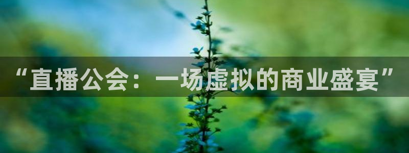 nba斗球体育直播：“直播公会：一场虚拟的商业盛宴”